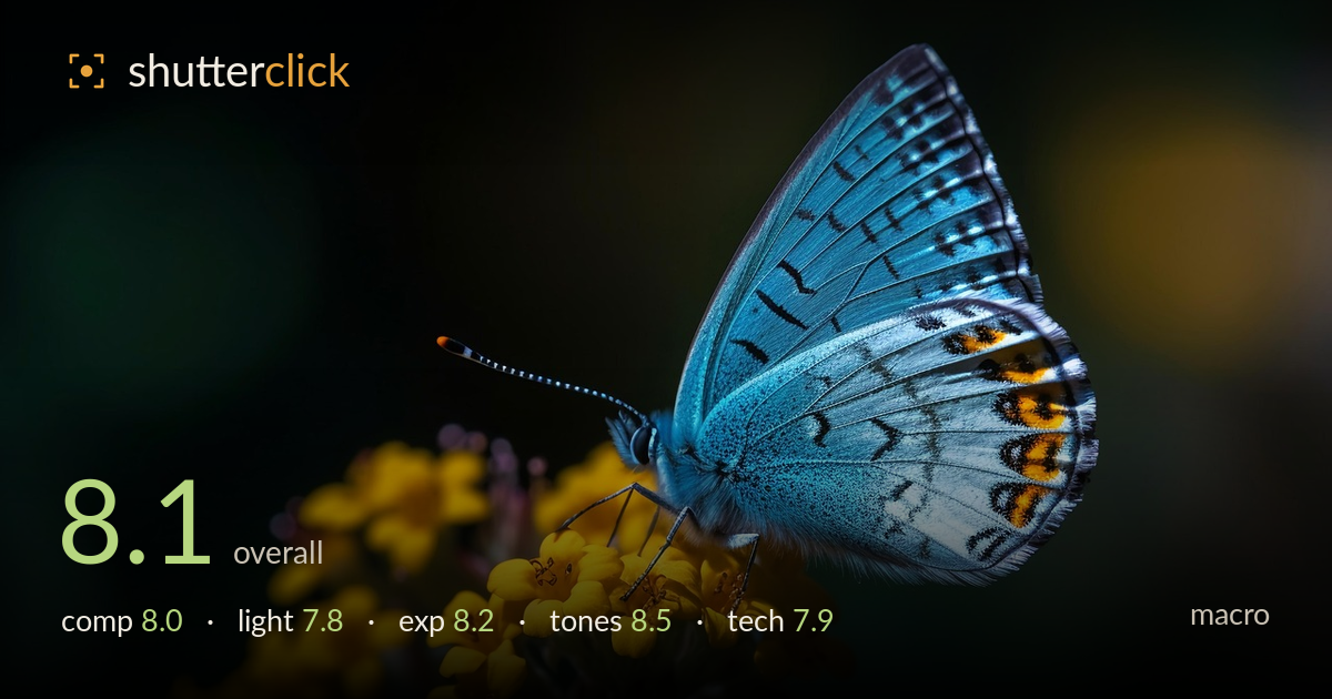 macro photo critique card