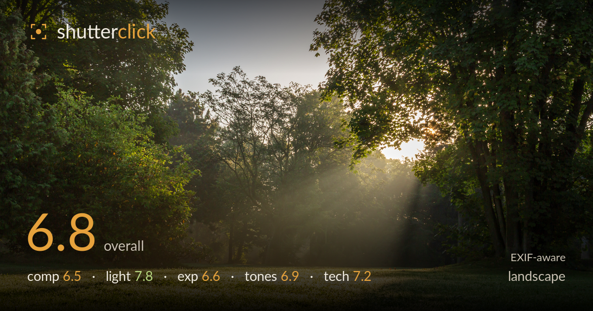 landscape photo critique card